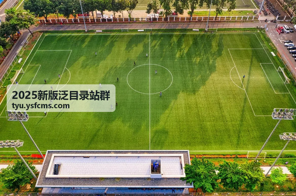 2025新版泛目录站群SEO策略部署示意图